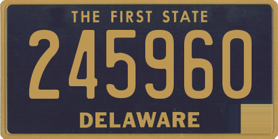 DE license plate 245960