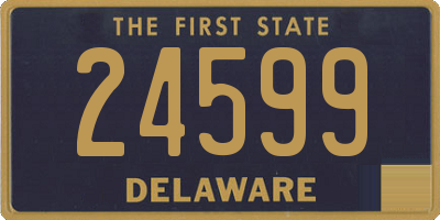 DE license plate 24599
