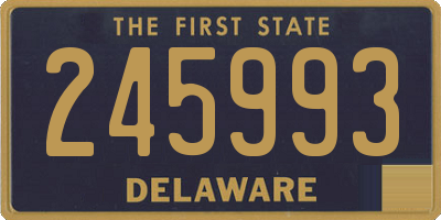 DE license plate 245993