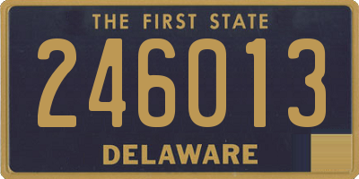 DE license plate 246013