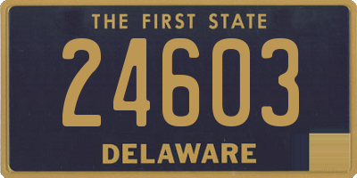 DE license plate 24603