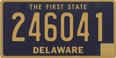 DE license plate 246041