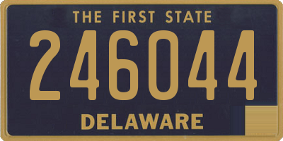 DE license plate 246044