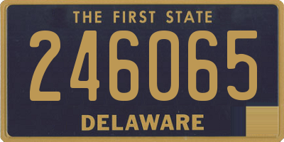 DE license plate 246065