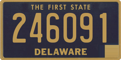 DE license plate 246091