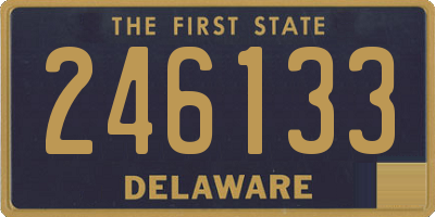 DE license plate 246133