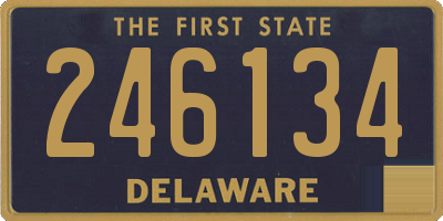 DE license plate 246134