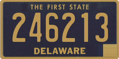 DE license plate 246213