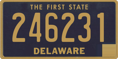 DE license plate 246231