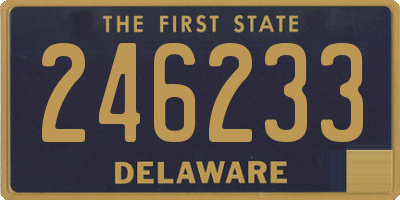 DE license plate 246233