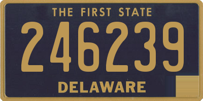 DE license plate 246239