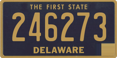 DE license plate 246273