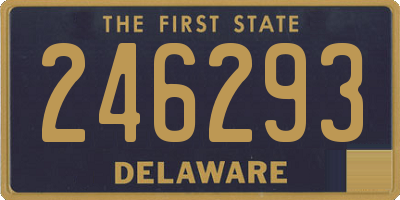 DE license plate 246293
