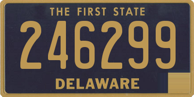 DE license plate 246299