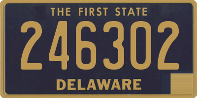 DE license plate 246302