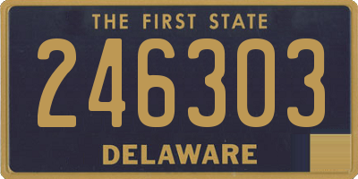 DE license plate 246303