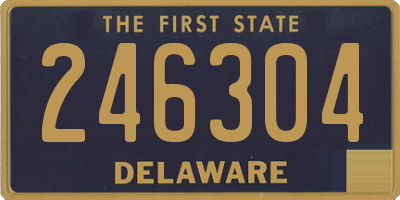 DE license plate 246304