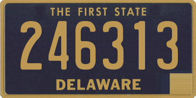 DE license plate 246313