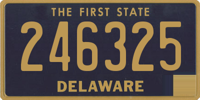 DE license plate 246325