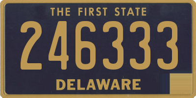 DE license plate 246333