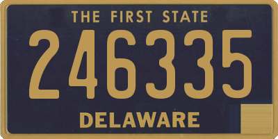 DE license plate 246335