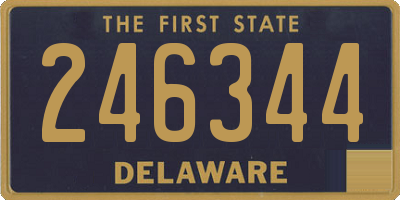 DE license plate 246344
