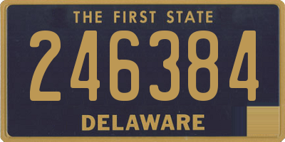 DE license plate 246384