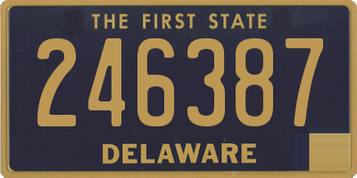 DE license plate 246387
