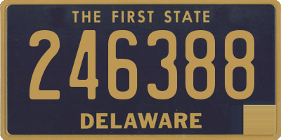 DE license plate 246388