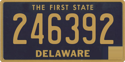 DE license plate 246392