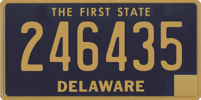 DE license plate 246435