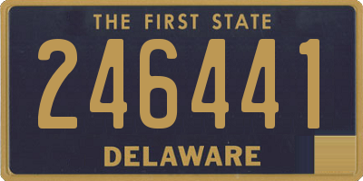 DE license plate 246441