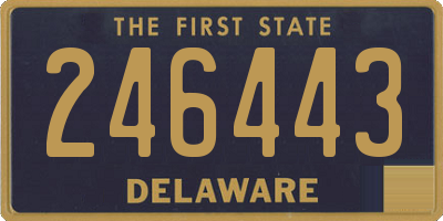 DE license plate 246443