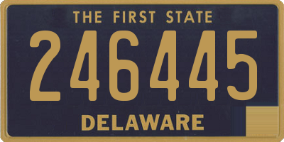 DE license plate 246445