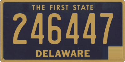 DE license plate 246447