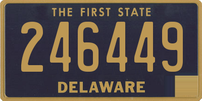 DE license plate 246449