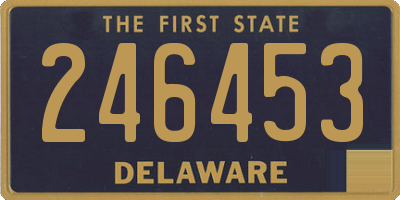 DE license plate 246453
