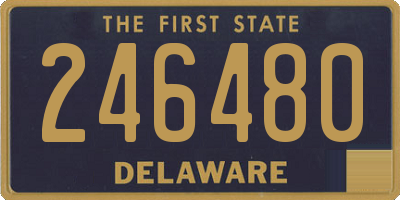 DE license plate 246480