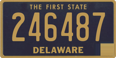 DE license plate 246487