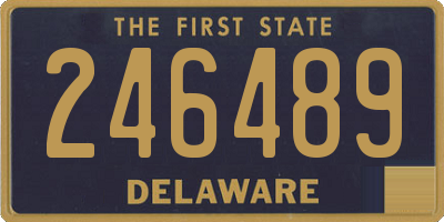 DE license plate 246489