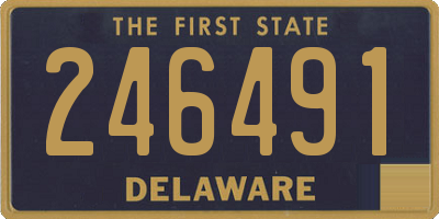 DE license plate 246491