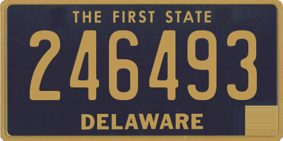 DE license plate 246493