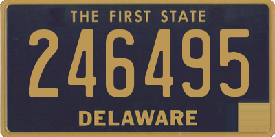 DE license plate 246495
