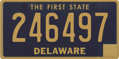 DE license plate 246497
