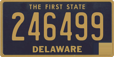 DE license plate 246499