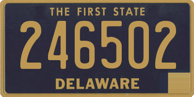 DE license plate 246502