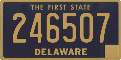 DE license plate 246507