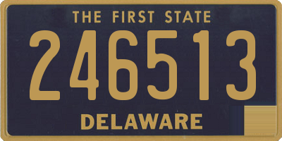 DE license plate 246513