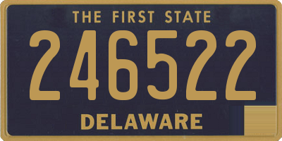 DE license plate 246522