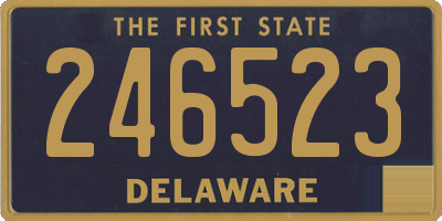DE license plate 246523